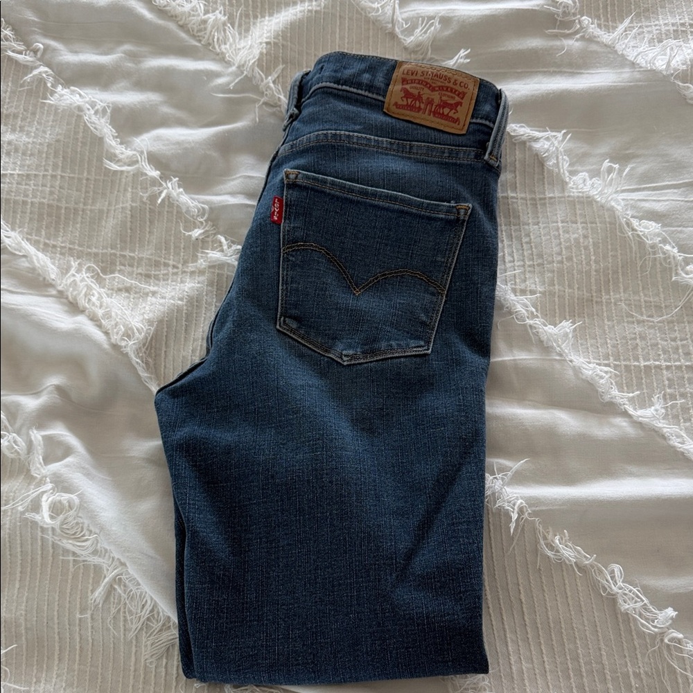 Levi's Dark Indigo Straight Jeans